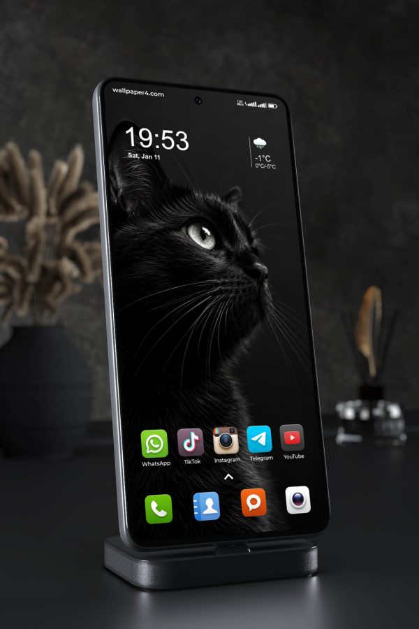 Phone Wallpaper 9082 - Black Cat Profile with a Silver Eye