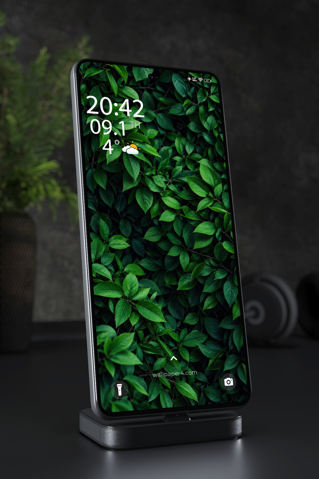 Phone Wallpaper 9108 - Deep Green Leaves in Layered Shadow