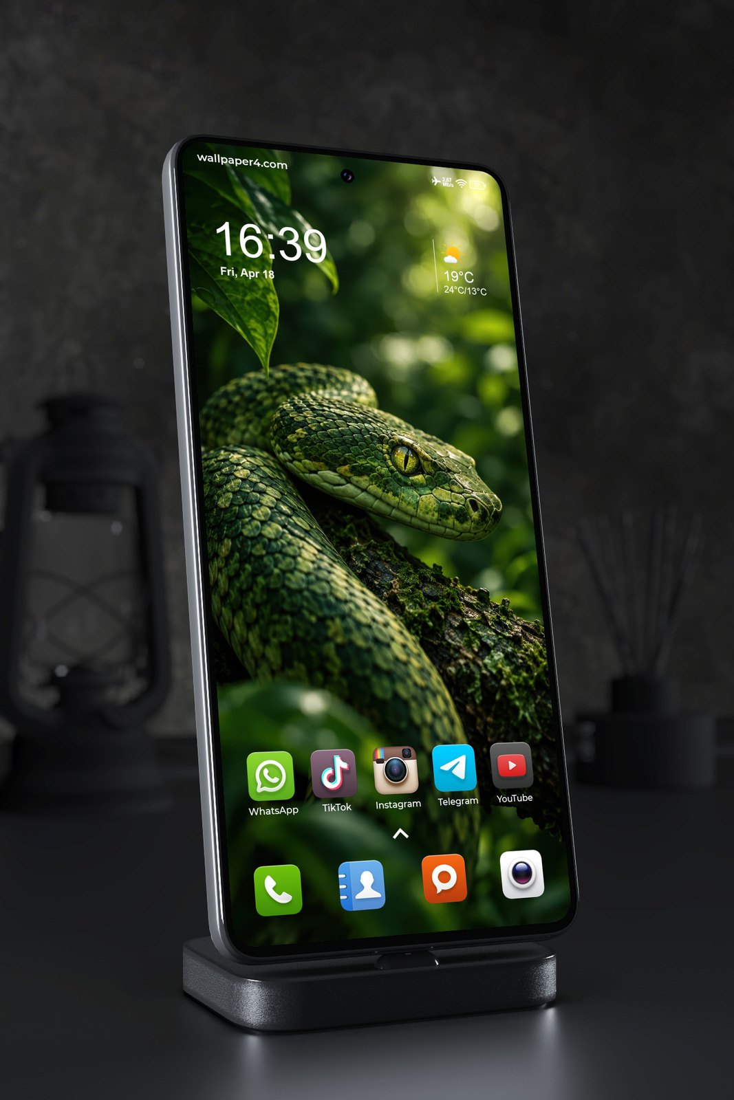 Phone Wallpaper 9111 - Emerald Snake Resting on a Mossy Branch