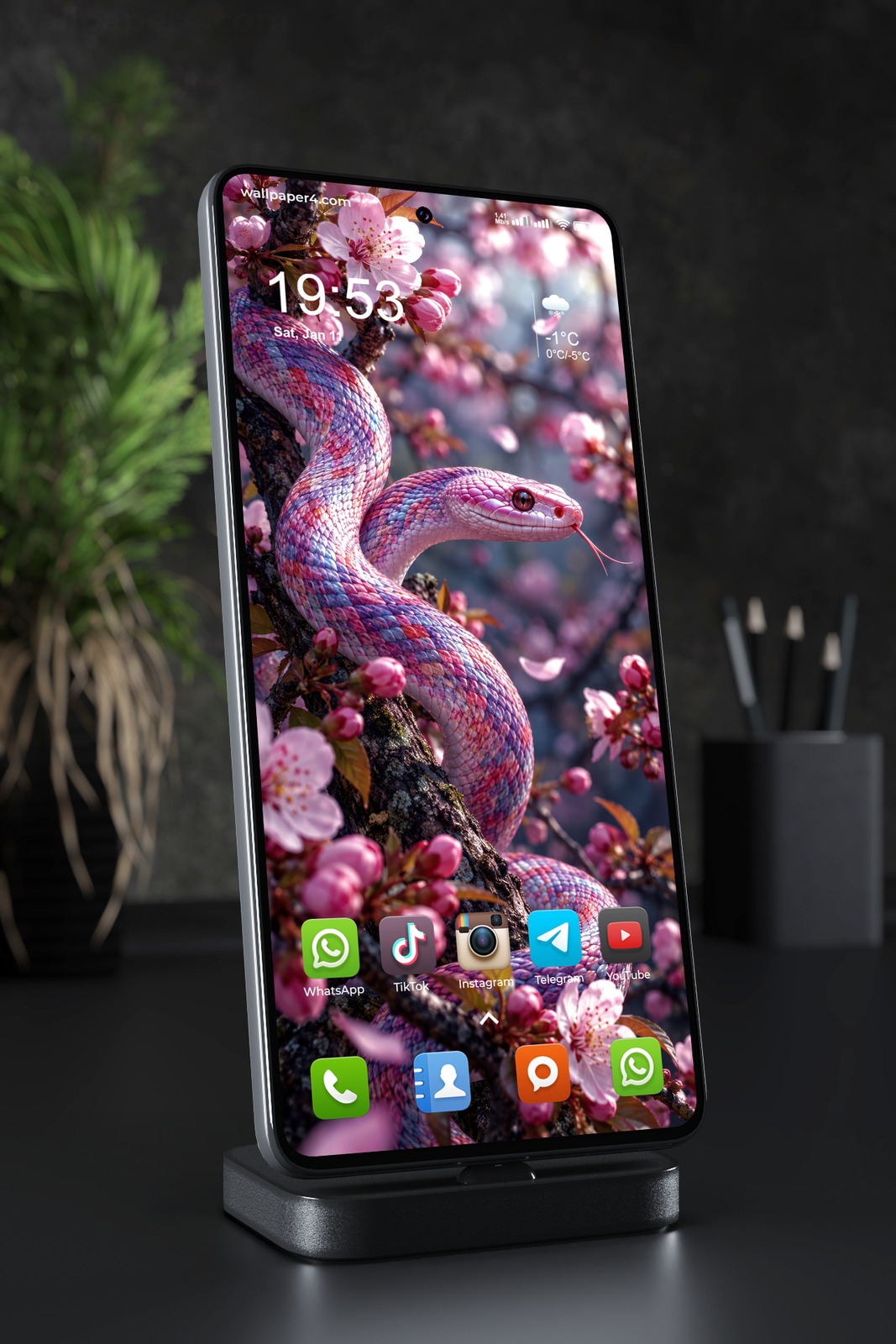 Phone Wallpaper 9123 - Pink Snake Winding Through Cherry Blossoms