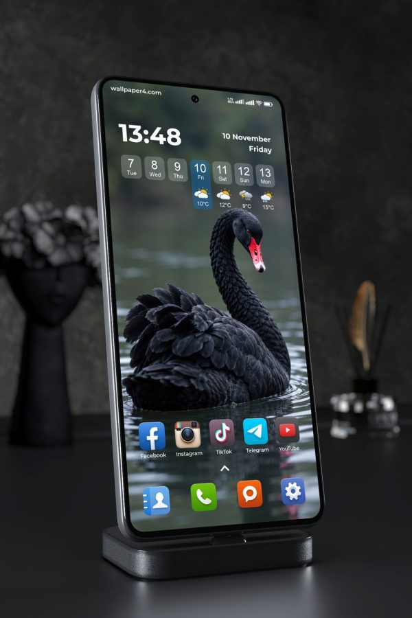 Phone Wallpaper 9192 - Black Swan with a Vivid Red Beak