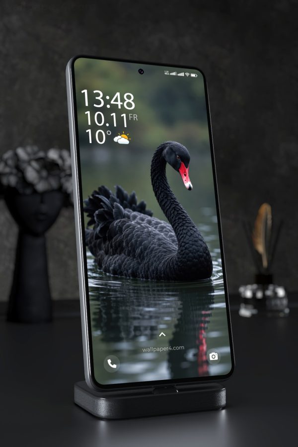 Mobile Wallpaper 9192 - Black Swan with a Vivid Red Beak