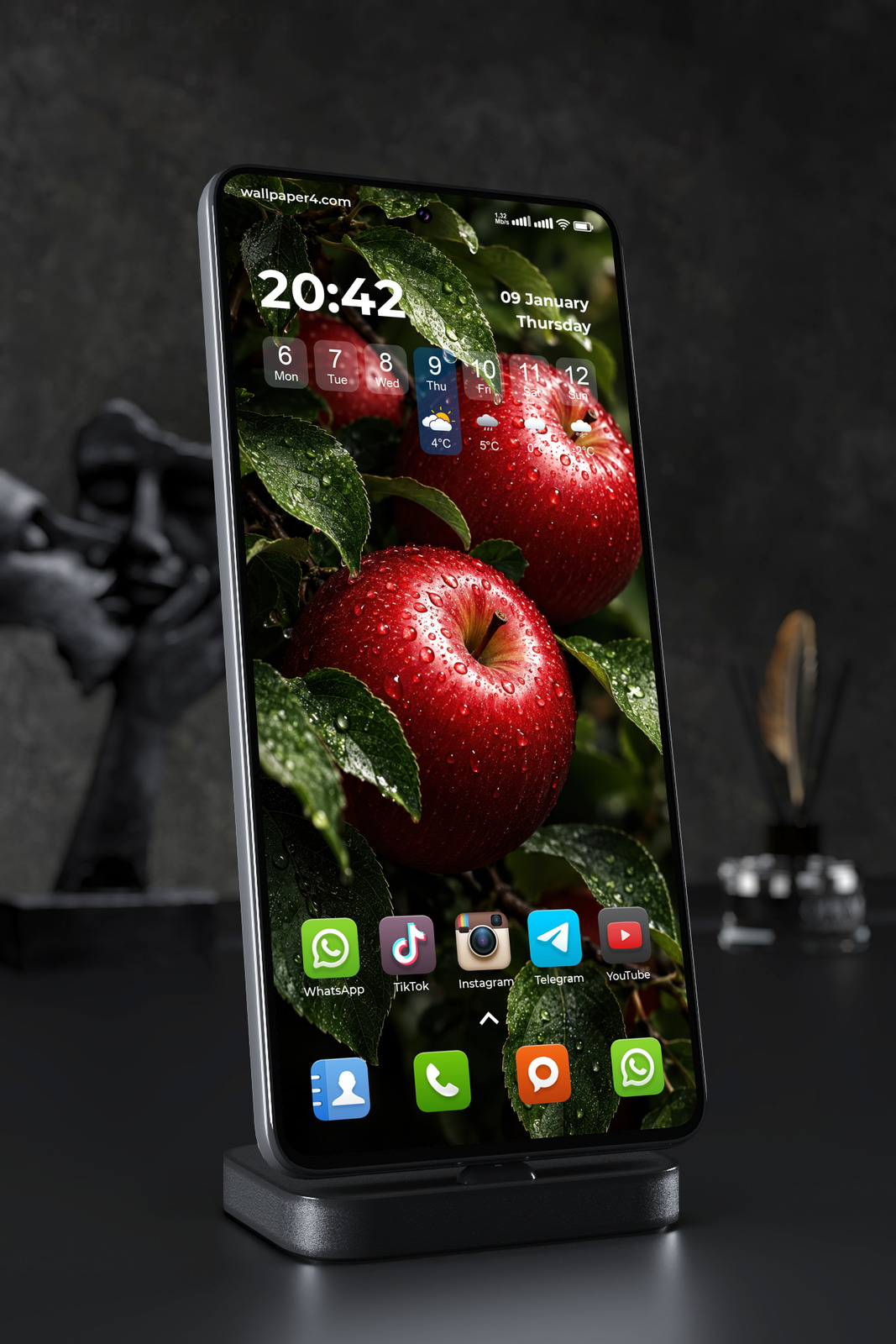 Mobile Wallpaper 9254 - Rain-Dotted Red Apples on a Leafy Branch