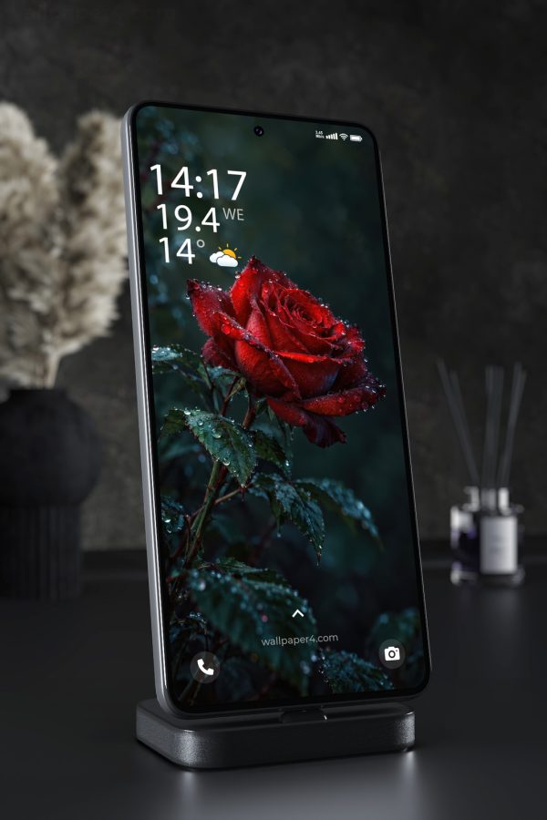 Mobile Wallpaper 9272 - Rain-Dark Red Rose with Dewy Leaves