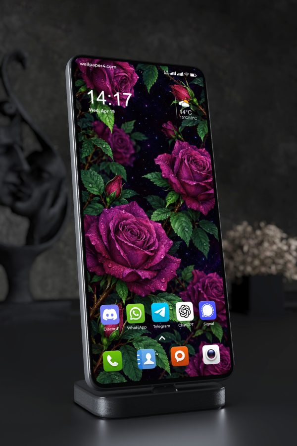 Phone Wallpaper 9335 - Magenta Roses Beneath a Starry Garden Sky