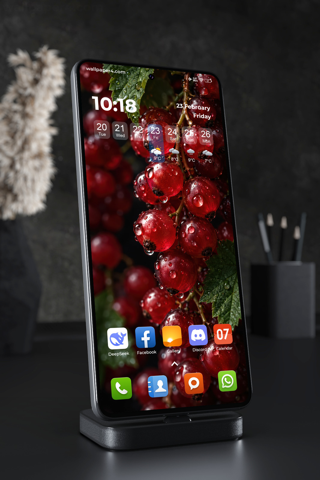 Phone Wallpaper 9338 - Rain-Dropped Red Currants on Green Branches