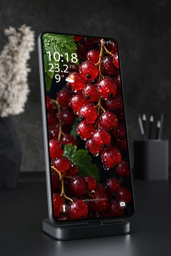 Mobile Wallpaper 9338 - Rain-Dropped Red Currants on Green Branches