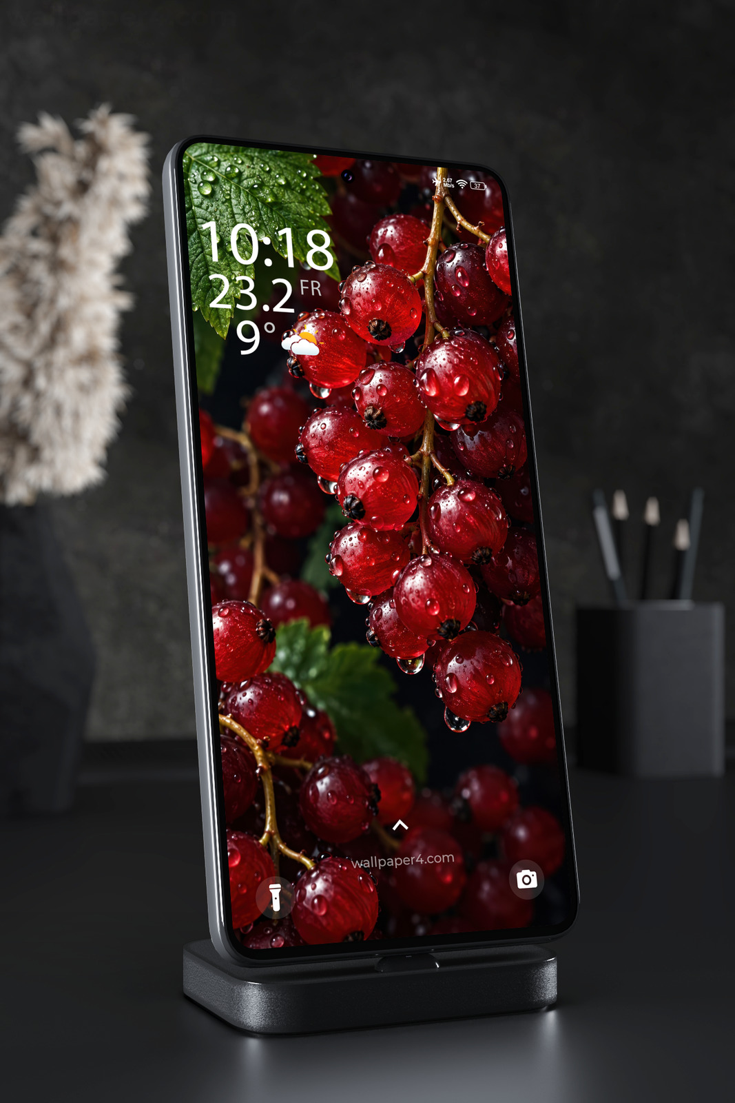 Mobile Wallpaper 9338 - Rain-Dropped Red Currants on Green Branches