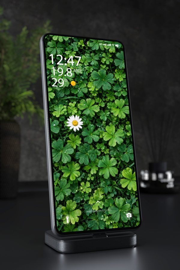 Mobile Wallpaper 9341 - Rainy Clover Leaves with a Single White Daisy