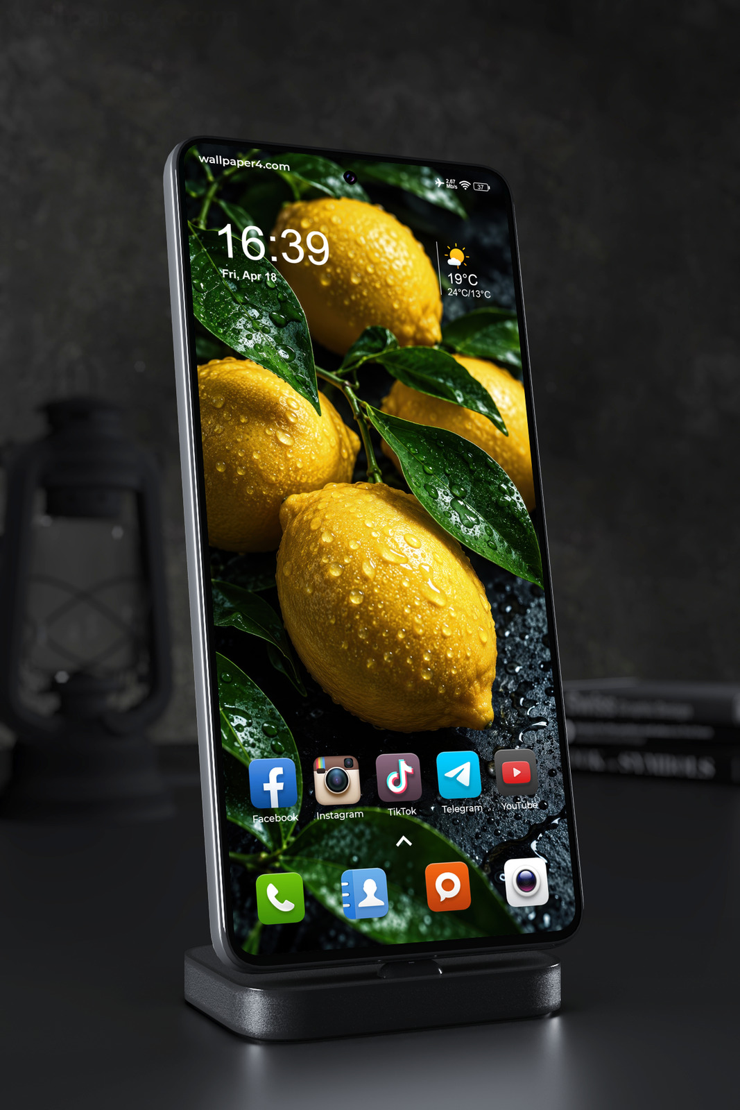 Phone Wallpaper 9344 - Golden Lemons and Glossy Leaves After Rain