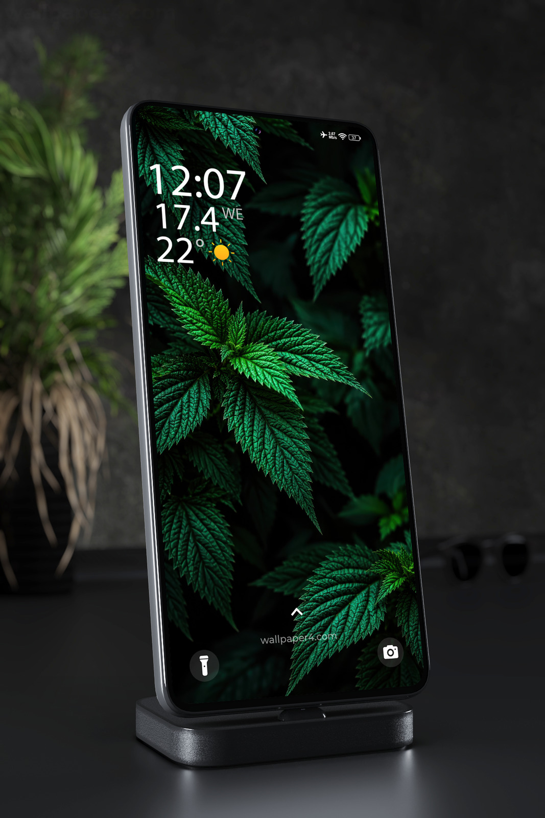 Phone Wallpaper 9356 - Emerald Serrated Leaves in Deep Shadow